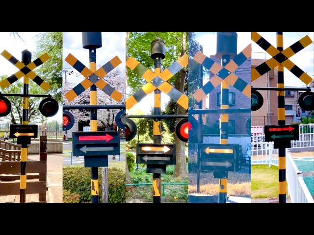 Traffic Park] Railroad Crossing Special!!! - YouTube