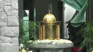 5th Sunday of Easter  - May 3, 2026