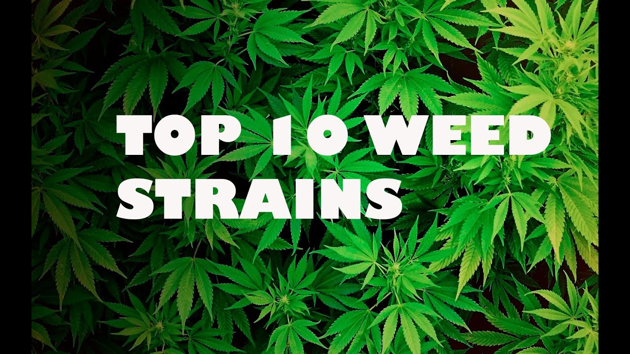 Top 10 Weed Strains