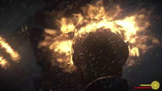 Shadow the colossus #13