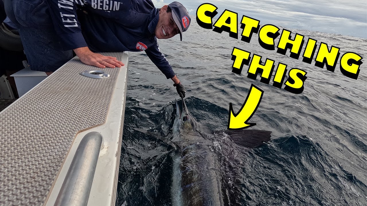 BIG COD AND MARLIN, deep sea fishing port Stephens! - YouTube