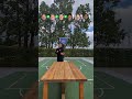 Table Tennis Showdown Part 1 🏓