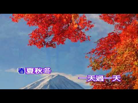 蔡小虎 春夏秋冬
