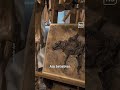 Dunkles Kapitel der Grube Messel