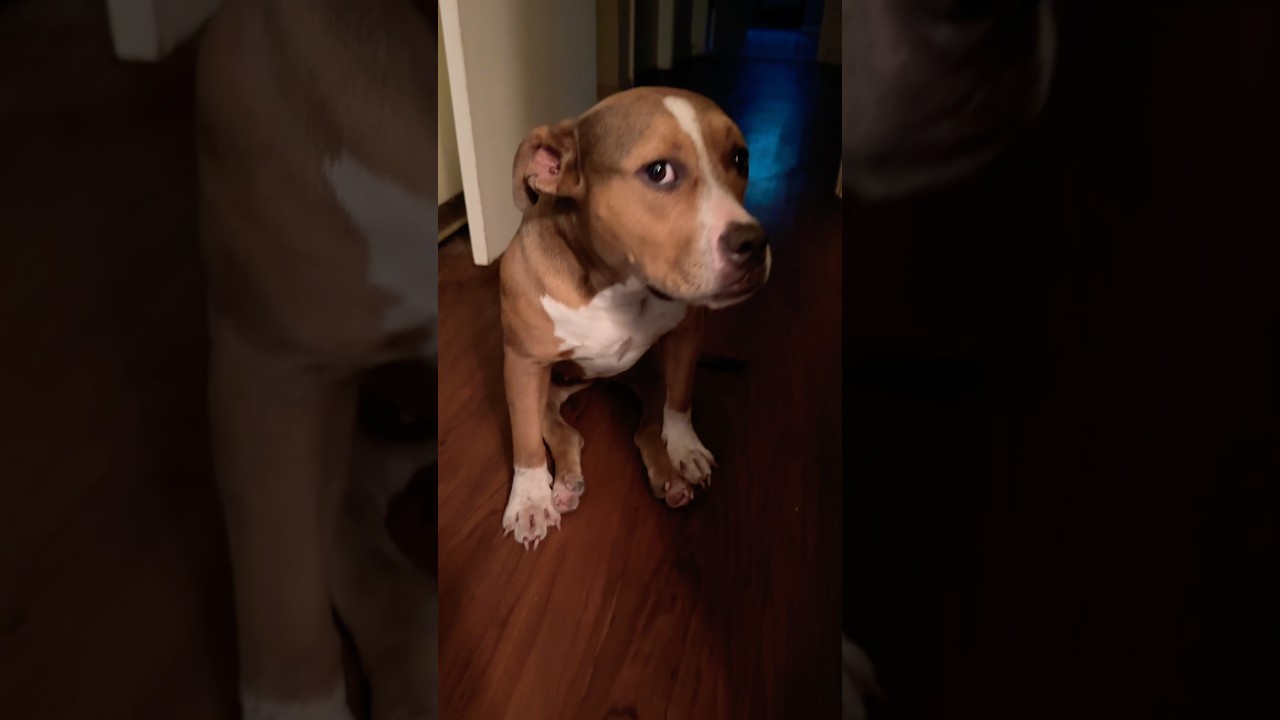 Elsie saw what you did…