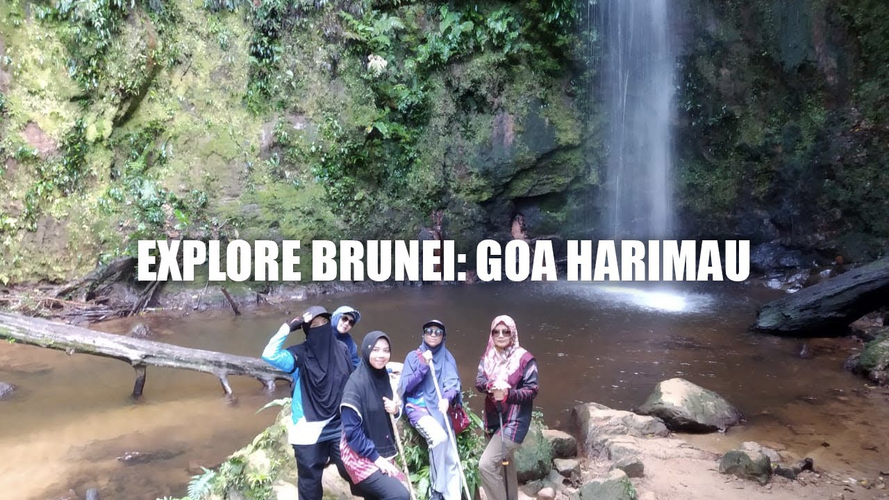 Explore Brunei: Hiking at The Exotic Gua Harimau (Tiger Cave) - YouTube