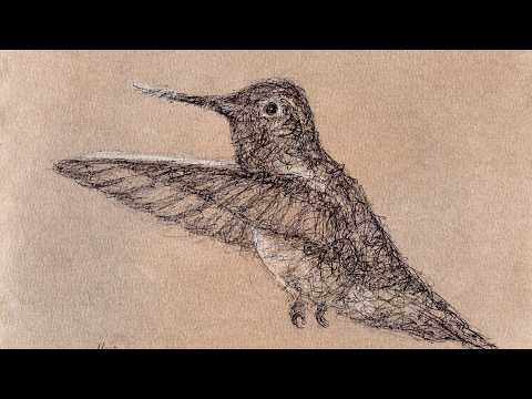 Hummingbird Scribble Art Sketch with a Biro Pen