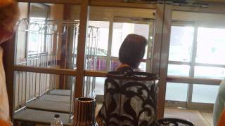Mustang Sally We Can Work It Out.wmv