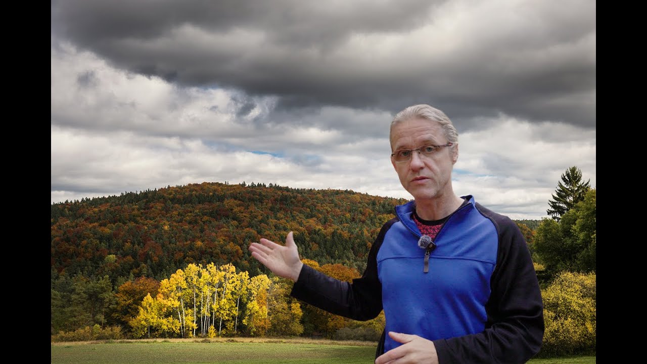 Leuchtende Herbstfarben im Nürnberger Land - Fotografie in Alfeld
