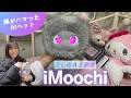 最新AIペットで思春期の少女は癒されるのか、AI家族「iMoochi（アイモーチ）」を娘とレビュー。