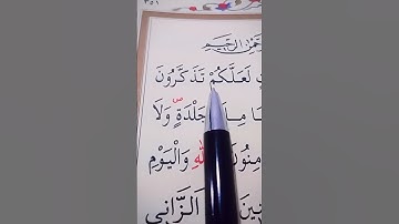سورة النور الأية 1 إلى 2 القارئ سعد الغامدي