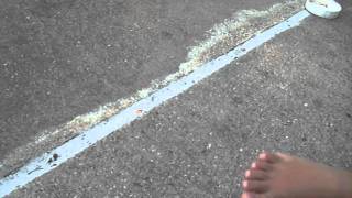 LS7302051.AVI