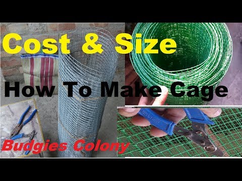 How To Make Birds Cage | Total Cost & Size | Budgies Colony |
