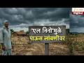 Special Report | Farmer | 'एल निनो'मुळे पाऊस लांबणीवर Zee 24 Taas