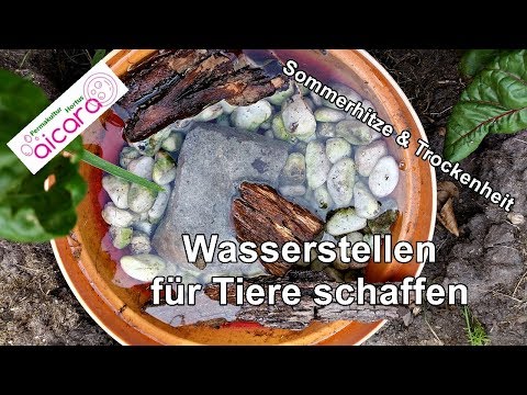 wasserstellen-für-tiere-schaffen