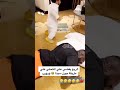 الربع سوا فينش جون سينا على الكحلي 