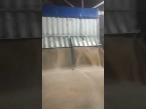 #дальнобой Выгрузка зерна