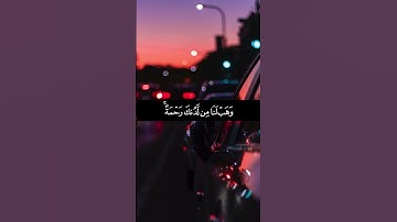 تلاوة هادئة ❤️💛