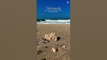 وما لنا ألا نتوكل على الله وقد هدانا سبلنا | الآية 12 من سورة إبراهيم#تلاوة_خاشعة #تلاوة_هادئة🤍🌧️