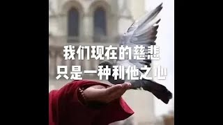 201702 我们现在的慈悲只是一种利他之心22978