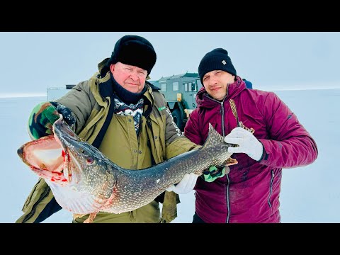 Видео: Рыбалка за полярным кругом 19 мая 2024 года