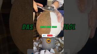 Nonton dora memang nyeselin 😂 Cerita lucu #meme #shorts #memes #jokes #satisfying