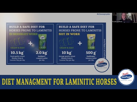 How To Manage A Diet For Laminitic Horse's?