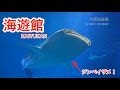 海遊館の魅力すべて見せます！SONY RX100M2で撮る水族館 Kaiyukan Osaka Japan