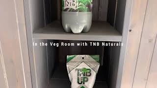 Peg City Cannabis - In the veg room with the TNB Naturals Co2 Enhancer canister
