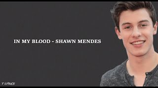 In My Blood - Shawn Mendes (Lyrics)