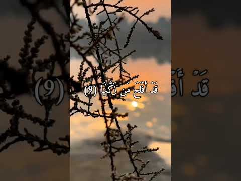 سورة الشمس فضيلة الشيخ عبد الرحمن السديس لا إله إلا الله محمد رسول الله