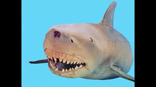 Jaws Animatronic Montage - Part 3