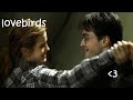 Harry caring for Hermione for 6 minutes straight