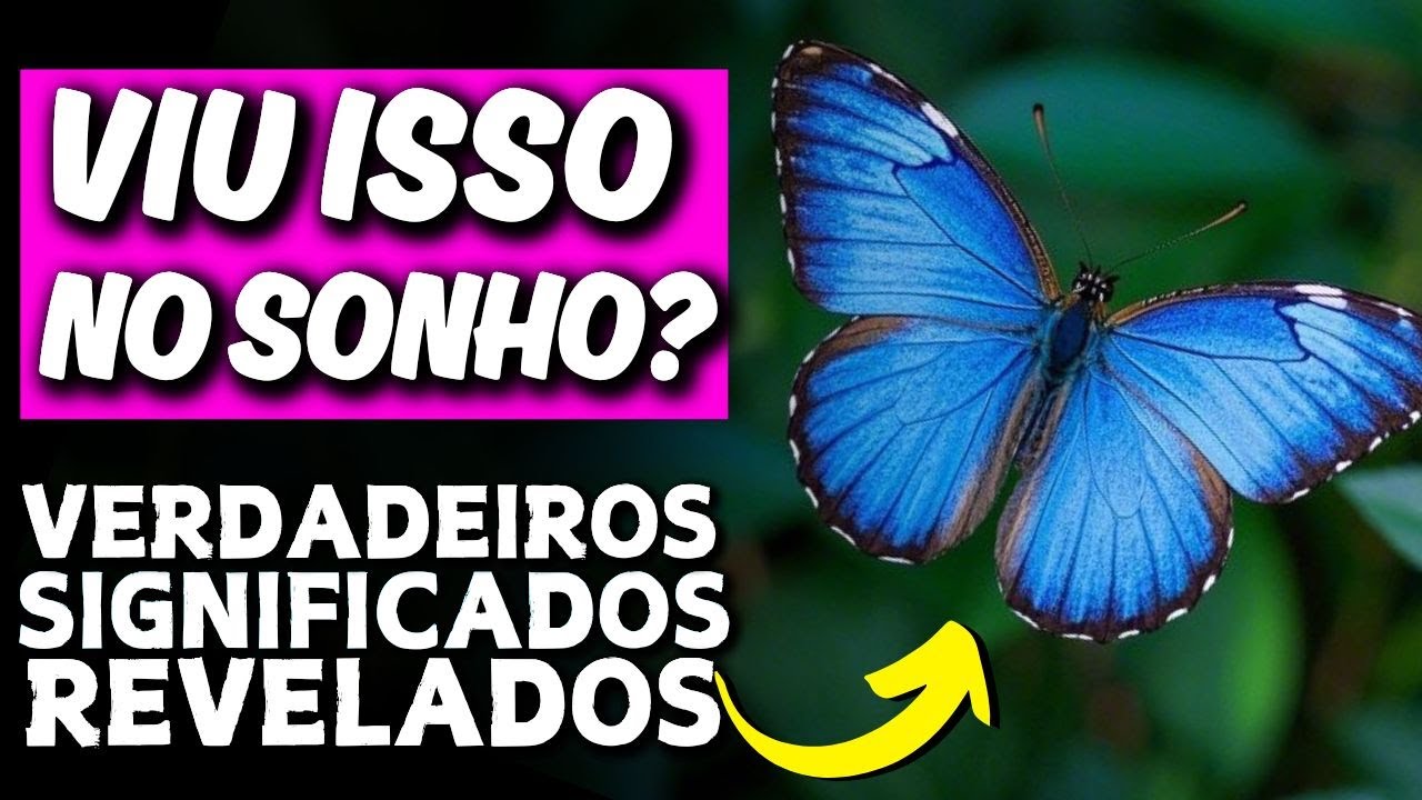 O Que Significa Sonhar Com Borboleta Azul | TODO CUIDADO NESSE SONHO ...