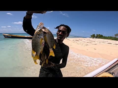MORAY Eel ATTACK & BITE MY HAND‼️