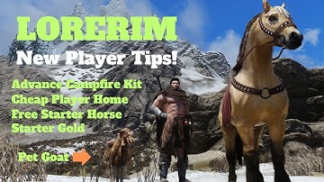 Lorerim (Skyrim) - New Player Tips