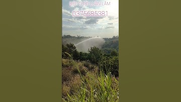 béc rocket 42 tưới cà phê #bectuoicaphe