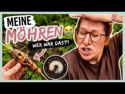 WV#47 // Garden, embroidery studio & sustainable changes♻️