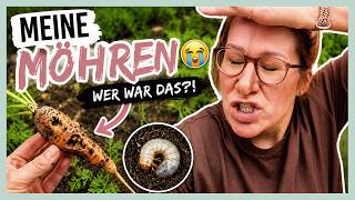 WV#47 // Garten, Stickatelier & nachhaltige Veränderungen♻️
