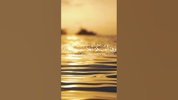 { وَفِي الْأَرْضِ آَيَاتٌ لِلْمُوقِنِينَ }،سورة الذاريات الشيخ إسلام صبحي 🩶.
