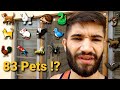 Todos os meus 83 bichos - Pets Na Net