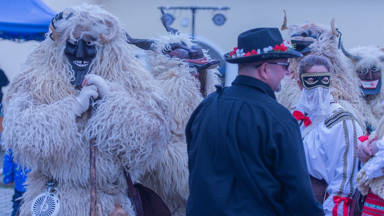 FORRALT BOR-FŐZŐ VERSENY  BUSÓK MŰSORA