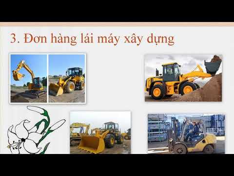 Tổng hợp 8 Công Ty Xuất Khẩu Lao Động Sóc Trăng Được Người Lao Động Phản Hồi Tích Cực