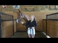 INTERVIEW WITH HEIDI JACKEL, ANDRÉ THIEME'S GROOM