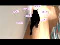 猫たちとの日常と、すしハムちゃん制作の裏側④