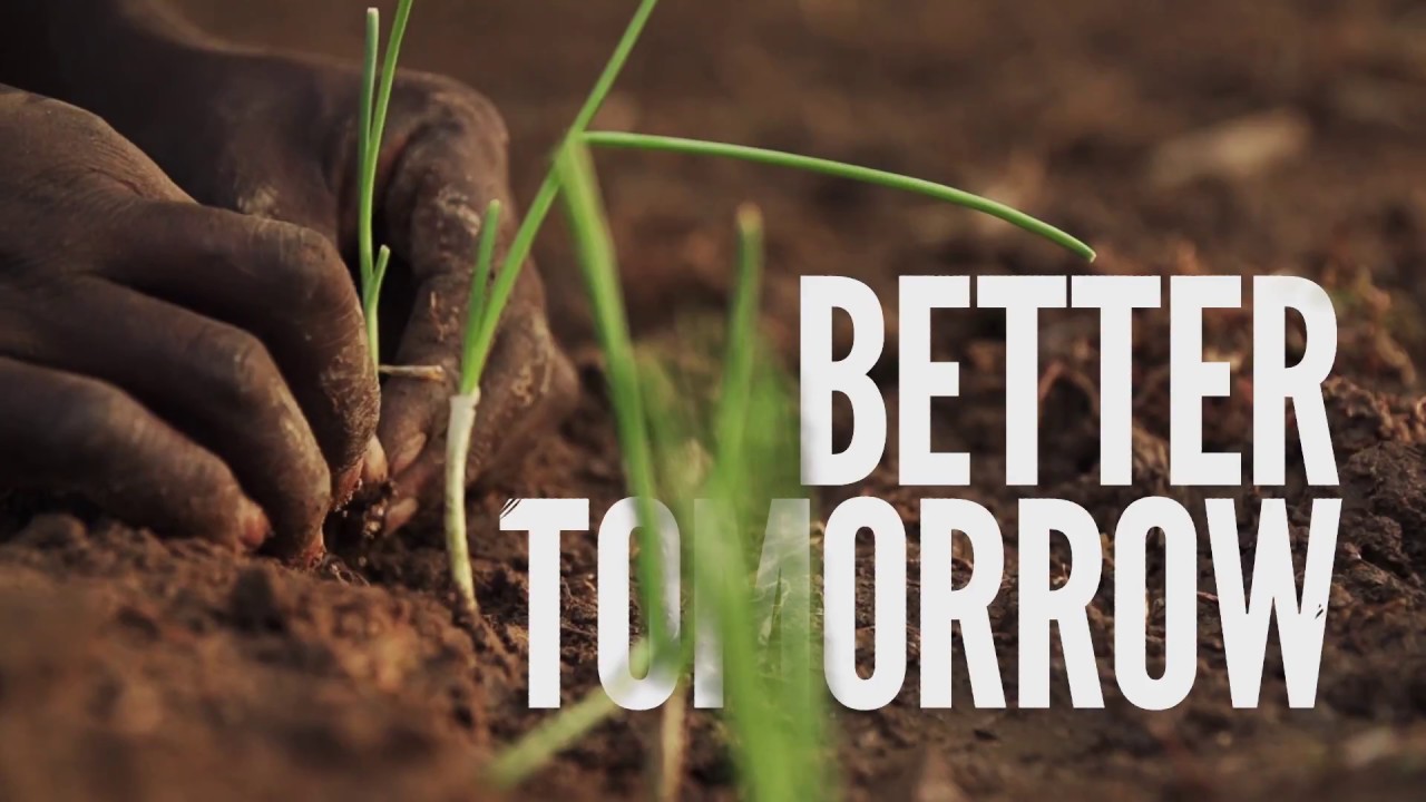 GOPA Consulting Group: What we do !