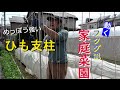 【家庭菜園】「支柱立て」（おまかせ菜園フクダ流）