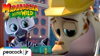 'Cheering Melman Up' Song | MADAGASCAR A LITTLE WILD