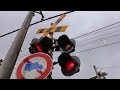 踏切と電車 西武多摩川線の武蔵境第6号から