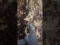 المشي على صخور البحر